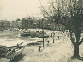 31 Palme appena piantate.jpg